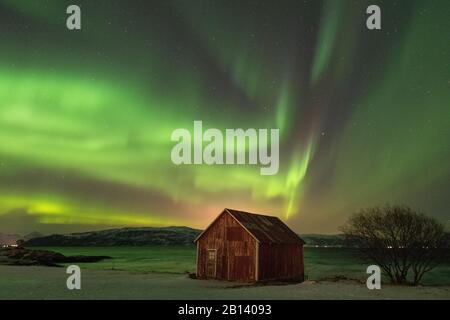 Northern Lights oltre la Stønesbotn di notte, Senja, Norvegia Foto Stock