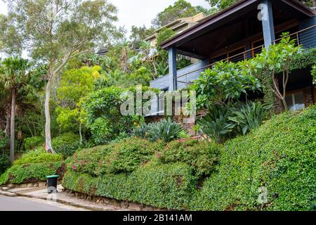 Australia privato abitazione giardino domestico fronte con piante verdi e cespugli nativi, Whale Beach sobborgo di Sydney, Australia Foto Stock