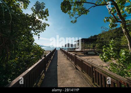 Sentiero Nel Parco Nazionale Di Bako. Sarawak. Borneo. Malesia Jungle area. Foto Stock