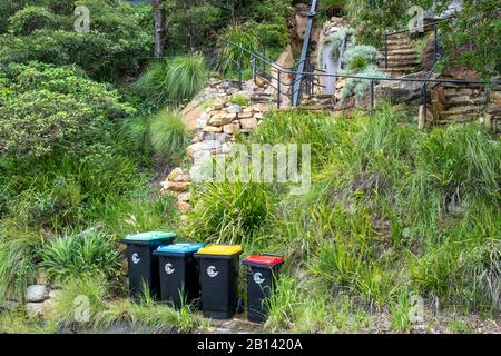 Collezione di bidone australiano, vegetazione verde, rifiuti generali rossi, carta blu e cartone, giallo per plastica e vetro, Sydney, Australia Foto Stock