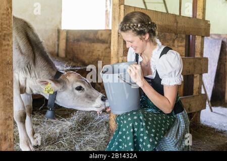 La moglie del contadino con dirndl nutre un vitello Foto Stock