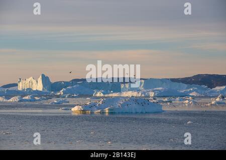 Iceberg nella baia di Disko su Midsummer, Groenlandia Foto Stock