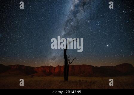 Albero morto nella parte anteriore della Via Lattea, Namibia, Africa Foto Stock