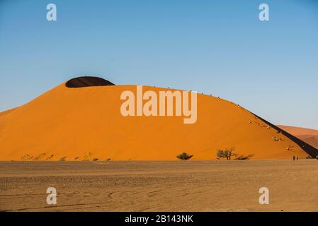 Le dune più grandi del mondo, Sossusvlei, Namibia, Africa Foto Stock