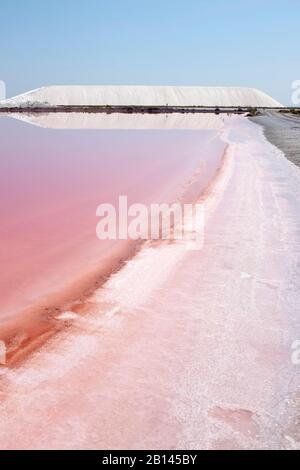 Aigues-Mortes saline paludi, Camargue, Francia meridionale Foto Stock