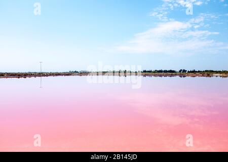 Aigues-Mortes saline paludi, Camargue, Francia meridionale Foto Stock