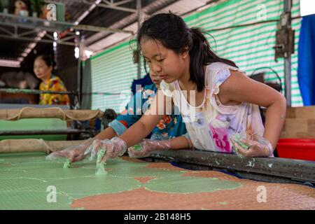 Artigianato in Vietnam Foto Stock