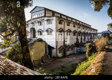 Fabbrica di tè, darjeeling, India Foto Stock