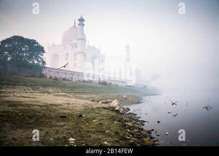 Vista generale del Taj Mahal, Agra, India, Asia Foto Stock