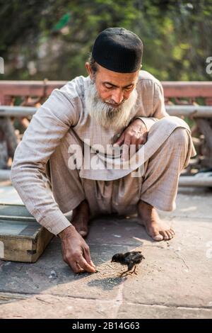 Uomo locale per strada in Agra, India, Asia. Foto Stock