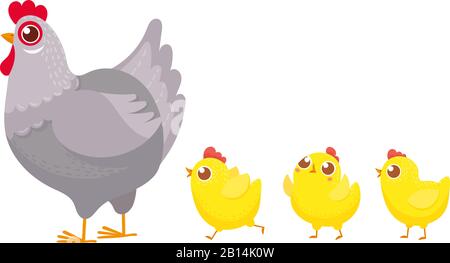 Pulcini che seguono il pollo. Primavera polli di pasqua, cazzo e gallina famiglia cartone animato illustrazione vettore Illustrazione Vettoriale