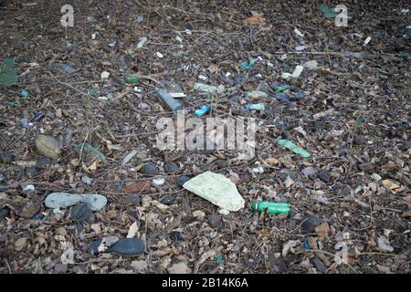 L'inquinamento di plastica massiccio all'interno del Sundarbans, la più grande foresta di mangrovie del mondo. Bangladesh Foto Stock