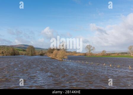 Campi allagati dal ponte di Middleham nel North Yorkshire Foto Stock