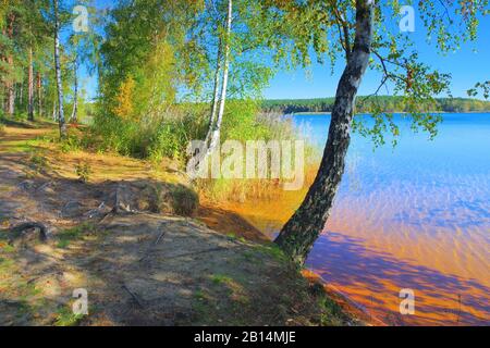 Senftenberg lago spiaggia, Lusatian Lake District Foto Stock