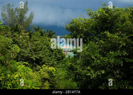 Molo di legno sulla laguna blu turchese tra gli alberi verdi tropicali di Bacalar, Quintana Roo, Messico Foto Stock