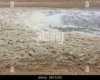 Schiuma sulla spiaggia del Mare del Nord, Paesi Bassi Foto Stock