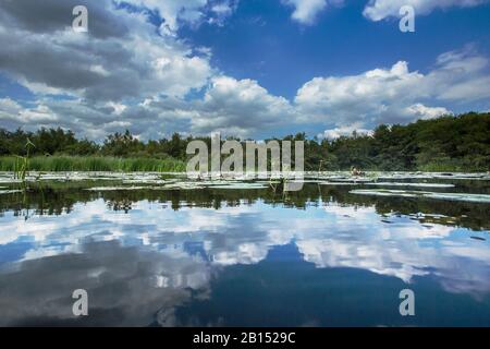 Nuvole che specchiano in Naardermeer, Paesi Bassi, Paesi Bassi del Nord, Naardermeer, Naarden Foto Stock