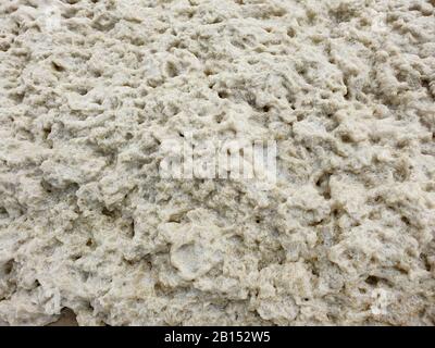 Schiuma sulla spiaggia del Mare del Nord, Paesi Bassi Foto Stock