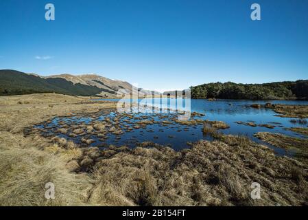 Piccolo lago sul bordo della zona dei Laghi di Mavora vicino a Queenstown, Nuova Zelanda Foto Stock