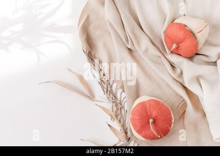 Bella composizione autunnale con zucche. Stagione autunnale. Autunno accogliente ancora vita. Zucche, foglie d'autunno, su sfondo bianco. Vacanze di ringraziamento. Concetto di Halloween Foto Stock