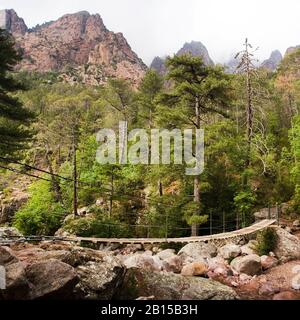 Un ponte di sospensione in corda e legno nelle alte montagne della Corsica, Isola di Corsica, Francia Foto Stock