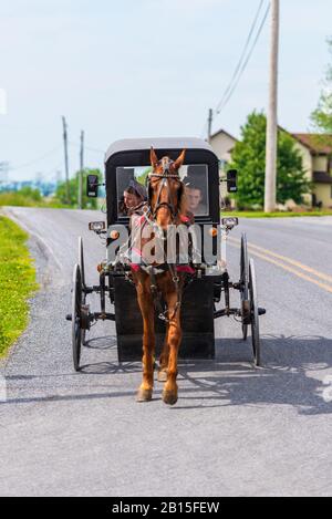 Amish Buggy che porta una donna e figlie in Pennsylvania USA Foto Stock