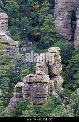 Echo Canyon Formazioni, Chiricahua National Monument, Arizona Foto Stock