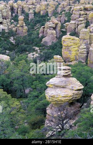 Echo Canyon Formazioni, Chiricahua National Monument, Arizona Foto Stock