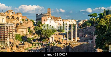 Foro Romano in estate, Roma, Italia. E' una delle principali attrazioni turistiche di Roma. Vista panoramica dei resti dell'antica città di Roma. Panorama di F romana Foto Stock