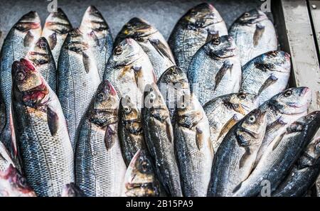 Vista sul pesce Fresco sul ghiaccio sul mercato di Porto, Portogallo Foto Stock