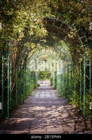 Verde tunnel naturale di piante e fiori in estate. Vecchia passerella sotto archi verdi. Bella pergola lunga in un grande giardino. Abbandonato overgrown tu Foto Stock