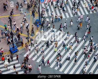 Shibuya, Giappone - 23 9 19: Persone che attraversano Shibuya Crossing in serata con l'attraversamento completo in vista Foto Stock