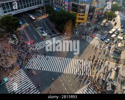 Shibuya, Giappone - 23 9 19: Persone che attraversano Shibuya Crossing in serata con l'attraversamento completo in vista Foto Stock