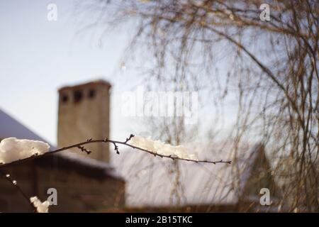 Closeup rami sottili alberi coperti di neve in giardino soleggiato. Camino rurale e cielo sullo sfondo Foto Stock