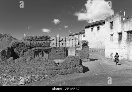 Case tradizionali del villaggio, fango intonacato, con foraggio animale sul tetto fiancheggiato da Himalaya in Komic, Himachal Pradesh, India. Foto Stock