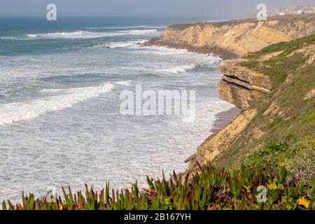 Ocean Coast con erba, moviment onde con schiuma. Energia eolica. Acque turchesi. Foto Stock