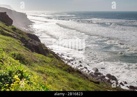 Ocean Coast con erba, moviment onde con schiuma. Energia eolica. Acque turchesi. Foto Stock
