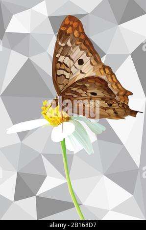 Bassa immagine in poli di una farfalla marrone su una margherita con uno sfondo geometrico Foto Stock