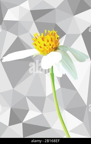 Bassa immagine in poli di una margherita con uno sfondo Foto Stock