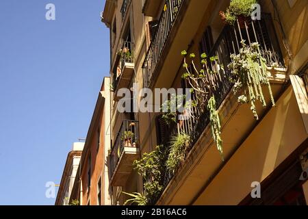 Una vista ravvicinata degli appartamenti spagnoli con piante che si trovano sul balcone Foto Stock