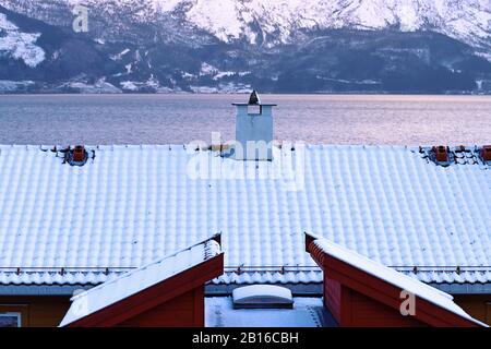 Vista panoramica sul villaggio di Ålvik, Hardanger, Hordaland, Norvegia. Bellissimo paesaggio invernale norvegese con tetto innevato, fiordo e montagne al sole Foto Stock