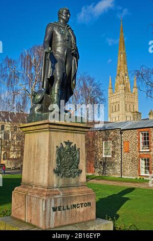 La statua del Duca di Wellington sorge nei giardini della Cattedrale di Norwich, Norwich, Norfolk, e dominata dalla guglia 96m. Foto Stock