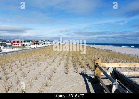 Dune di sabbia protettive progettate costruite nel 2019 a Lavallette, New Jersey USA. Tali dune sono necessarie dopo la Superstorm Sandy colpito nel 2012. Foto Stock