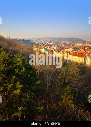 Alberi verdi nel parco e ampia vista a Praga dal ponte. Ora invernale Foto Stock