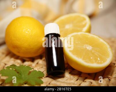 Piccola bottiglia di vetro scuro di olio essenziale accanto a pochi limoni, alcuni tagliati, succosa, foglia di geranio verde, tavolo in rattan primo piano. Foto Stock