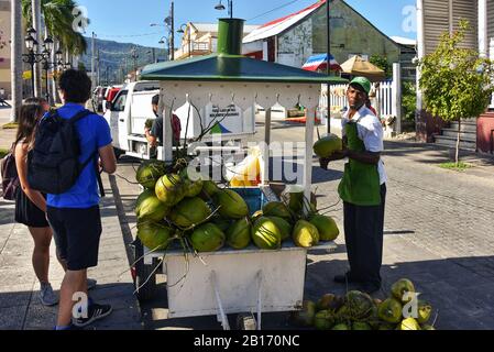 Puerto Plata, Repubblica Dominicana - 7 febbraio 2020: Un uomo dominicano taglia una noce di cocco per vendere l'acqua ai turisti nel Parco Centrale di Puerto Plata Foto Stock