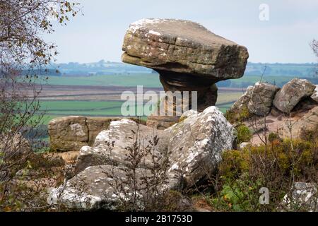 'The Druid'S Writing Desk', Brimham Rocks, Vicino Harrogate, North Yorkshire, Inghilterra Foto Stock