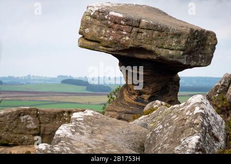 'The Druid'S Writing Desk', Brimham Rocks, Vicino Harrogate, North Yorkshire, Inghilterra Foto Stock