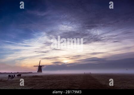 Hempenserpoldermolen smock Mill al mattino nebbia, Paesi Bassi, Frisia, Hempenserpoldermolen, Wergea Foto Stock