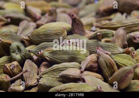 Cardamomo vero (Elettraria cardamomum, Amomum cardamon), baccelli secchi Foto Stock